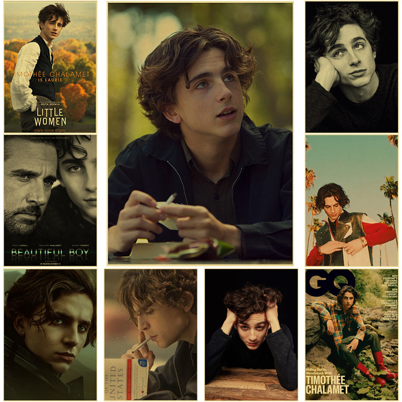 Timothee chalamet retro pintur - Home Bar And Theater avaliação e preço