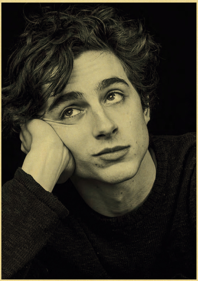 Timothee chalamet retro pintur - Home Bar And Theater avaliação e preço